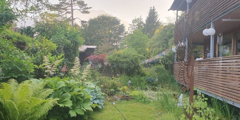 Außenbereich Garten ohne Sonne Außenbereich Garten ohne Sonne